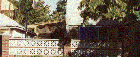 A picture of two Succuhs